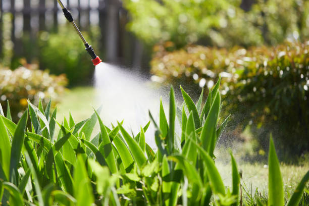 Tamper-Resistant Bait Stations for Rodents in Claycomo