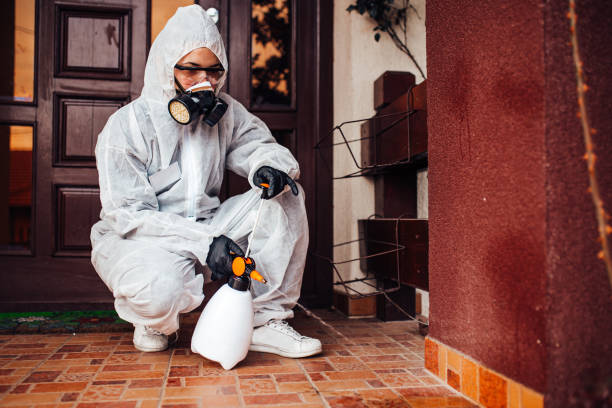 Attic and Crawl Space Rodent Treatment in Claycomo